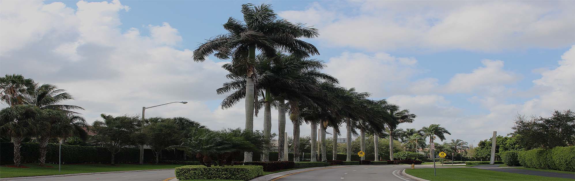 Pines Property Management Home Pines Property Management Home